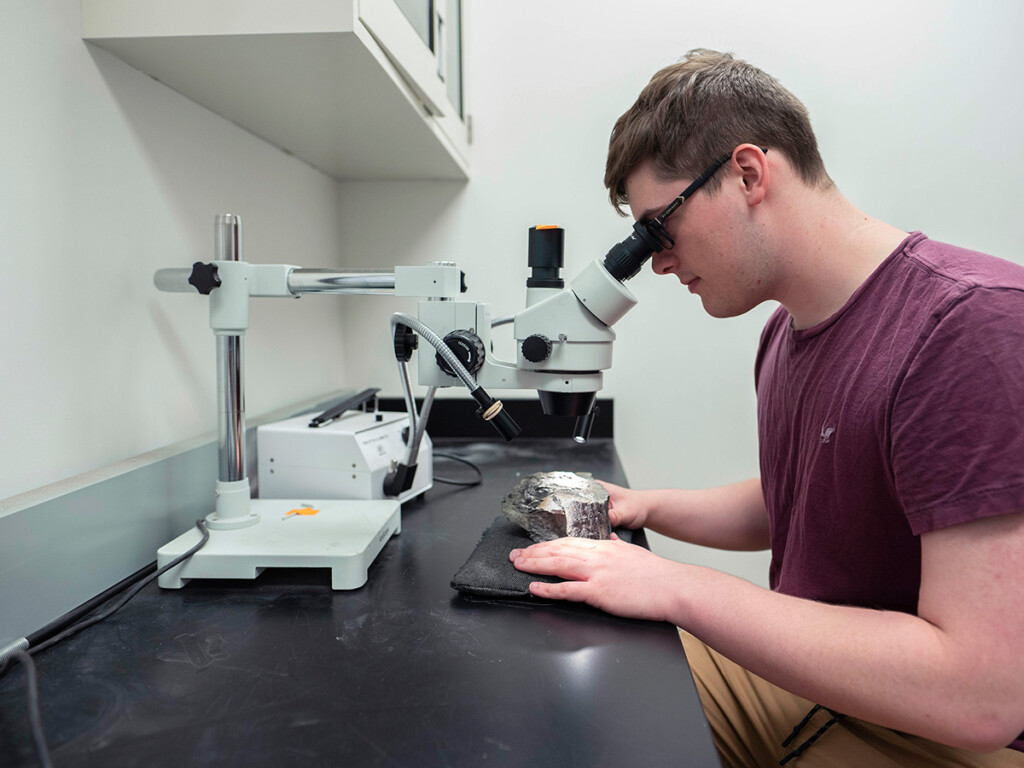 Fossils Aid Probe into Origins of Animals