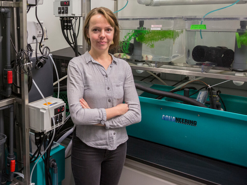 Glowing Salamanders Shine Light on Evolution