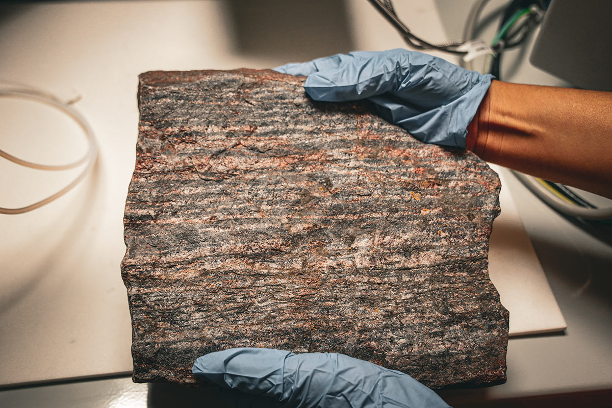 A pair of hands wearing rubber gloves holds up a large rock.