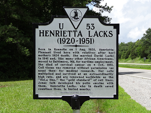 Henrietta Lacks historical marker in Clover, VA (Photo: Emw, CC)