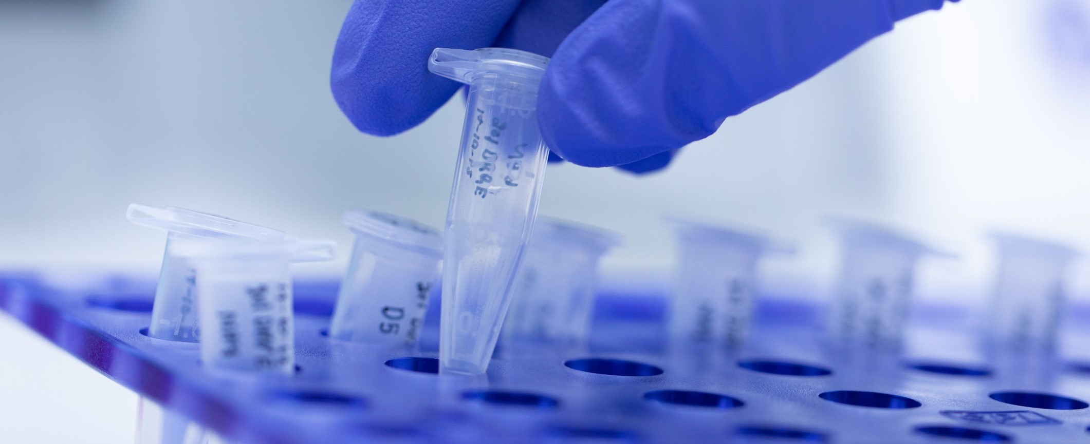 A blue glove listing a vile out of a container