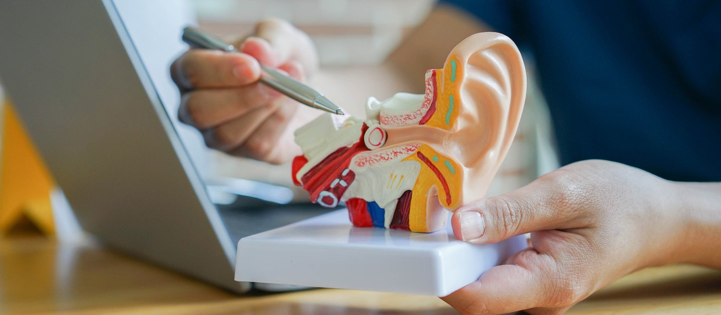 A hand points to an ear statue