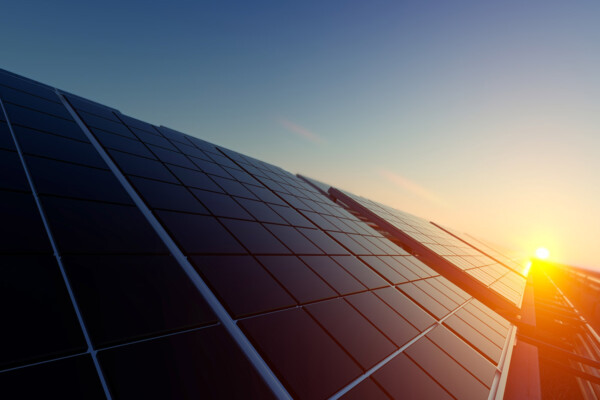 Solar panels in dim light as the sun sets.