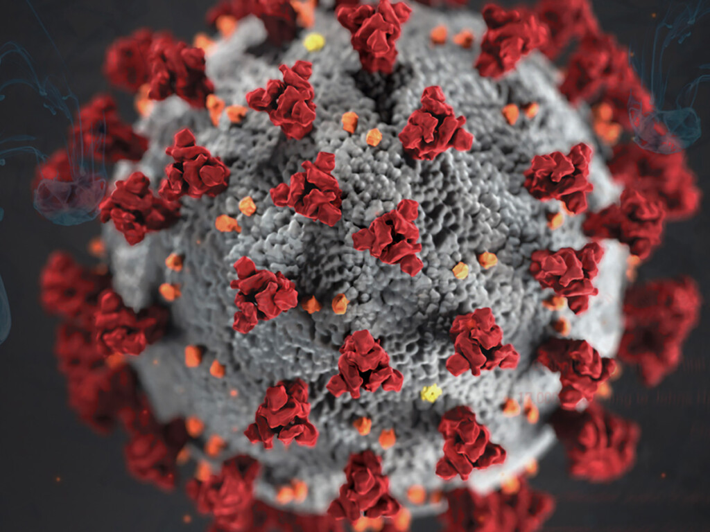 Novel Coronavirus (COVID-19)