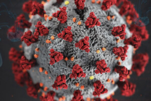 Novel Coronavirus (COVID-19)
