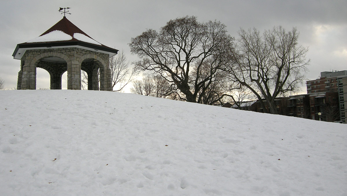 Lifting Macdonald Gardens Park