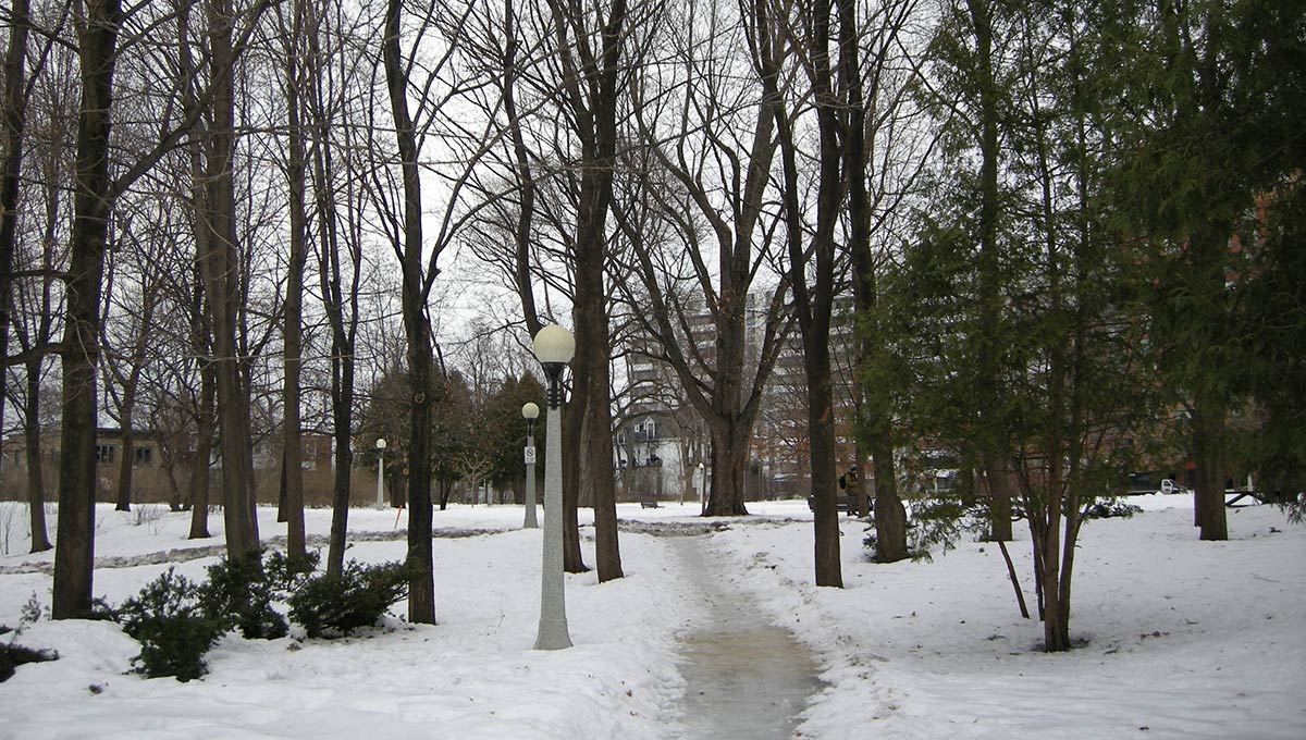 Lifting Macdonald Gardens Park