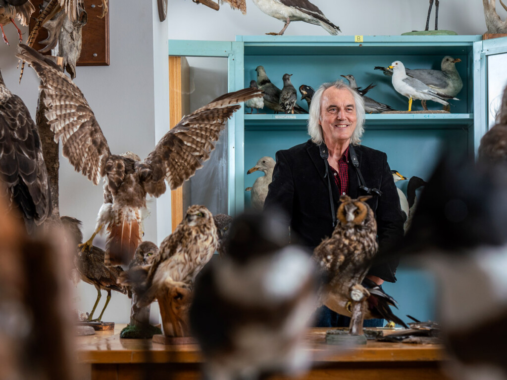 Carleton University Biology Prof. Michael Runtz, pictured here in a lab surrounded by taxidermied animal samples, has published Algonquin Wild, a new book celebrating the 125th anniversary of Algonquin Provincial Park.
