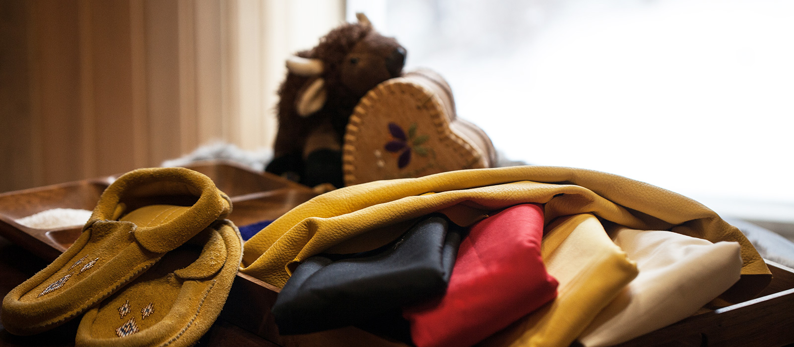 Celebrating National Indigenous History Month