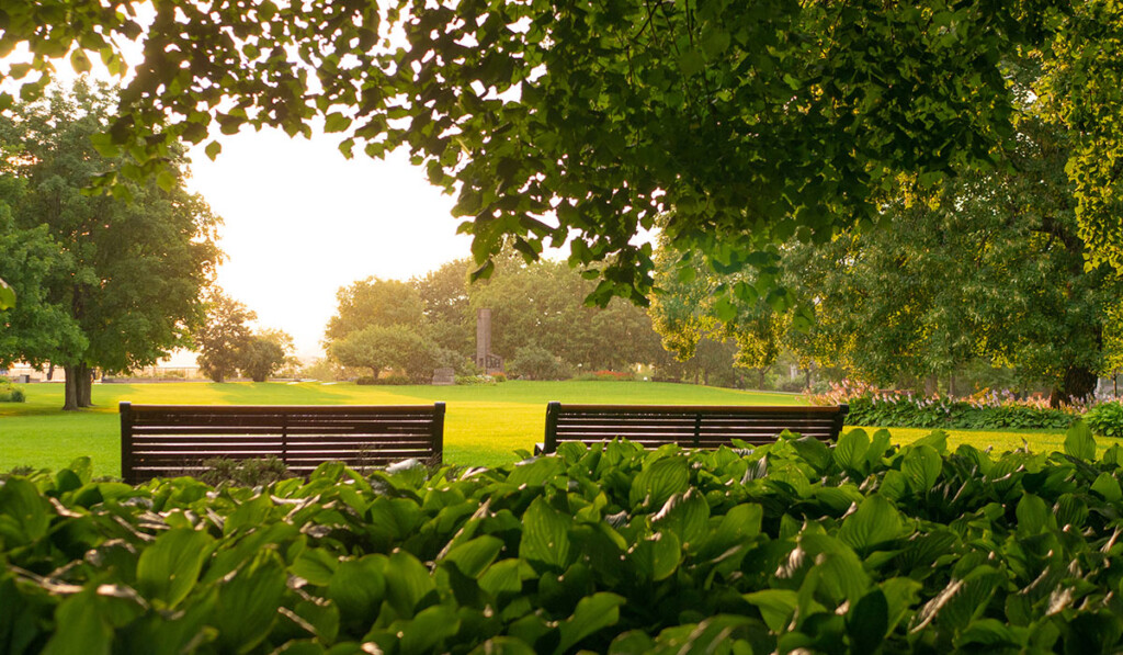 A view of a park with two park benches and lots of greenery.