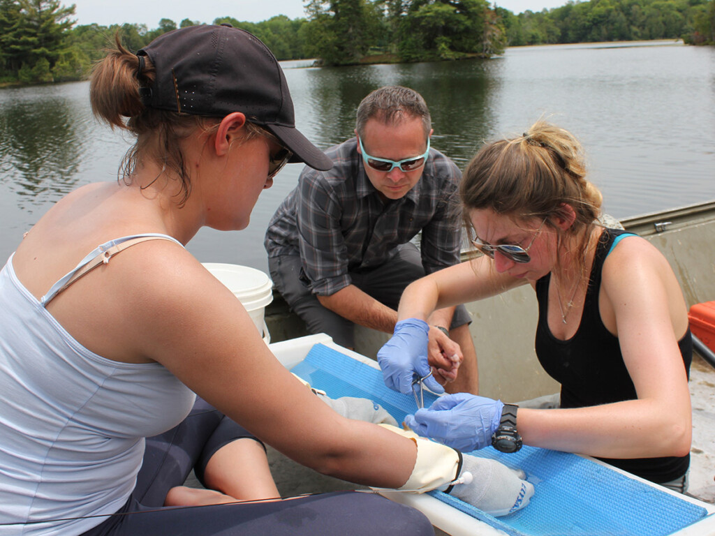 New Science Degree Program Gets Practical New Science Degree Program Gets Practical