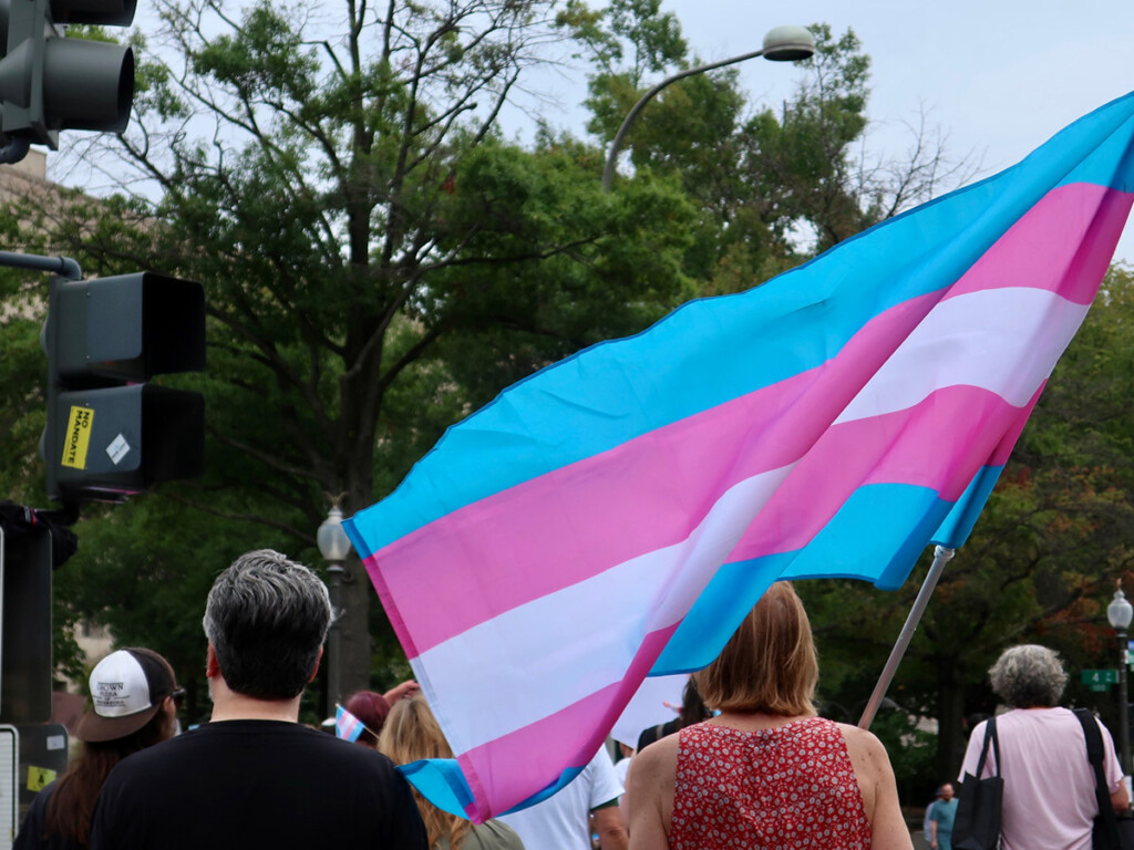 A person carrying a transgender flag at an unidentified rally