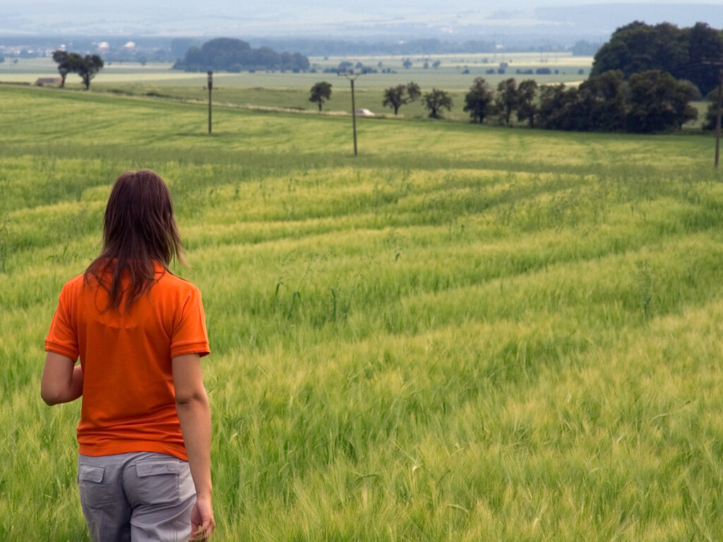 Carleton Takes Part in Orange Shirt Day to Honour Residential School Survivors