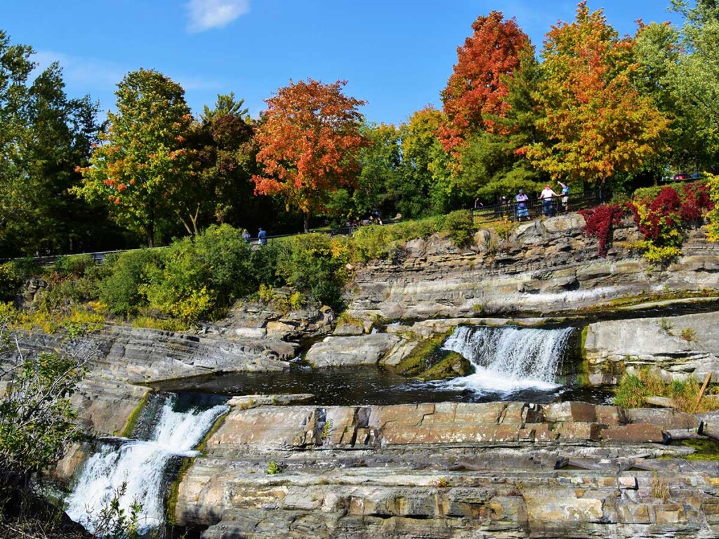 Bird and tree diversity can make cities healthier through parks like this with a waterfall and various species of trees.