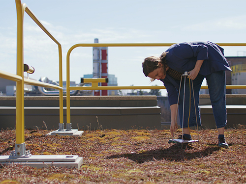 A woman collecting samples on a roof covered in foliage.