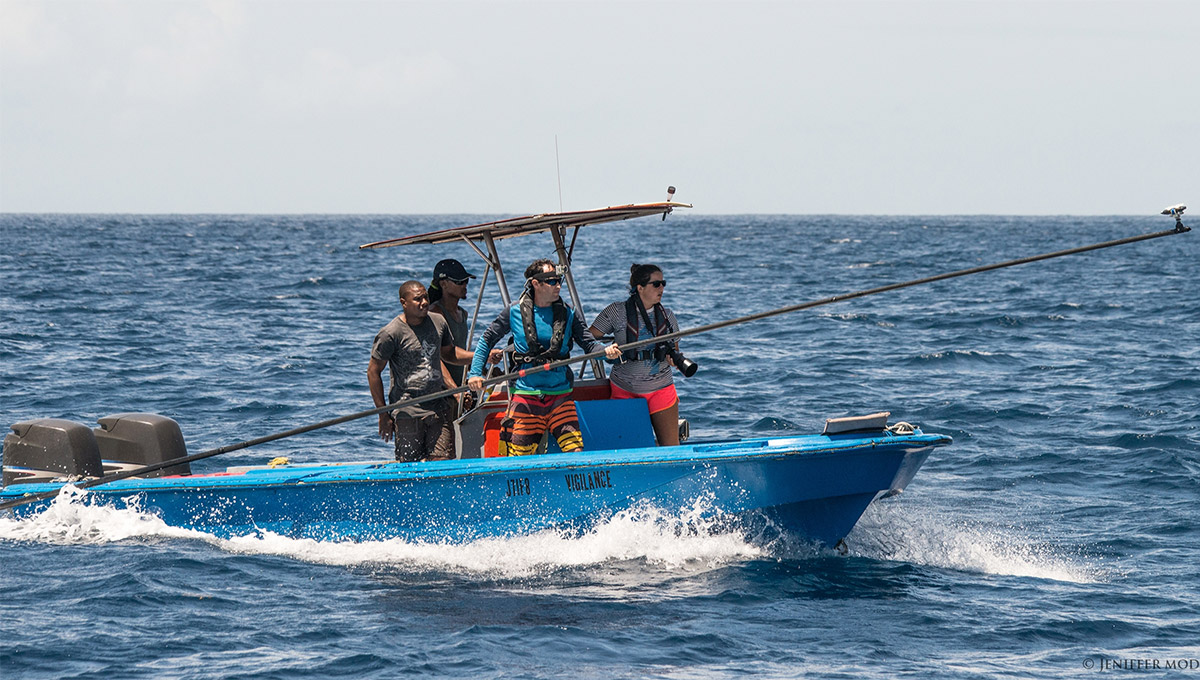 Shane Gero and his team capturing footage of whales