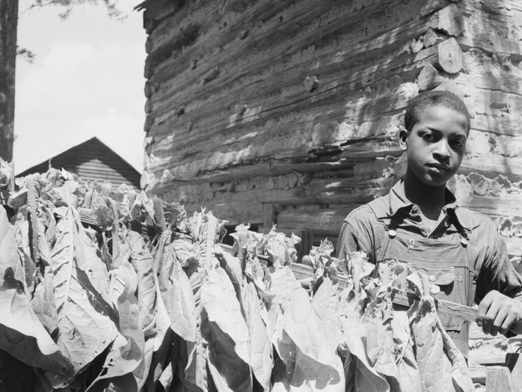 Shannon Lecture Series Explores Historical Themes that are Resurging in Current Political Atmosphere