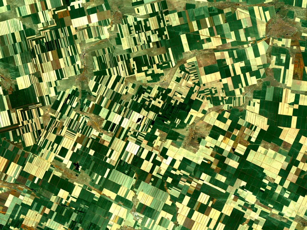 Smaller farmers fields can be beneficial to wild species. (Shutterstock)