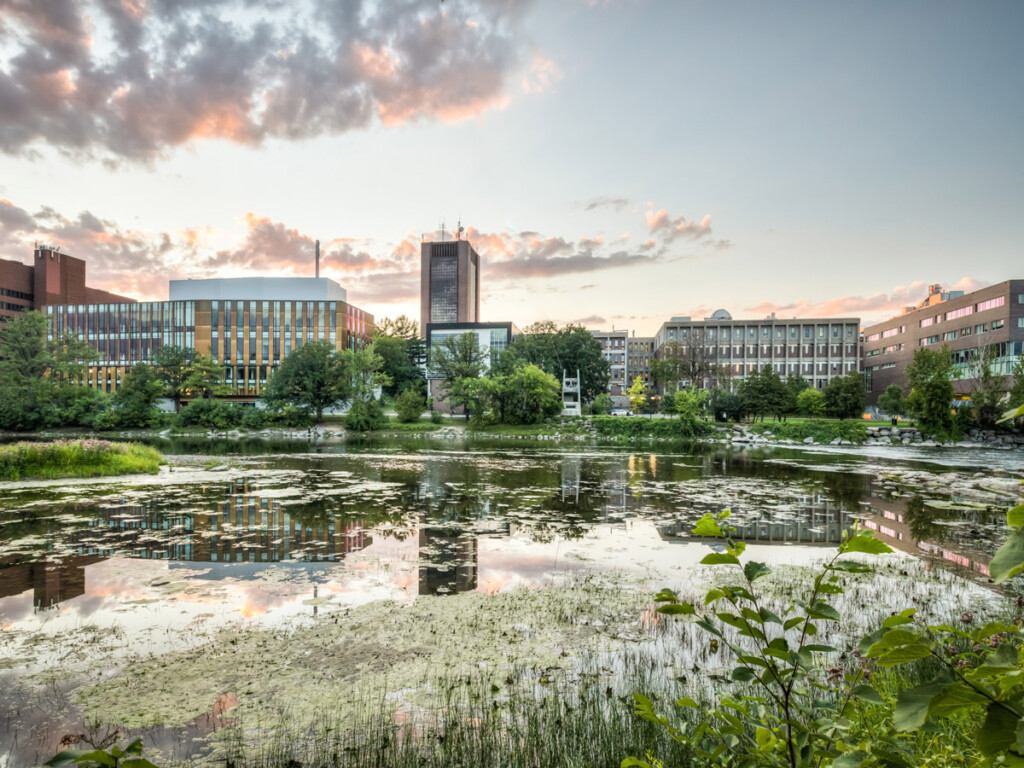 A shot of Carleton's campus across the Rideau River