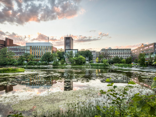 A shot of Carleton's campus across the Rideau River