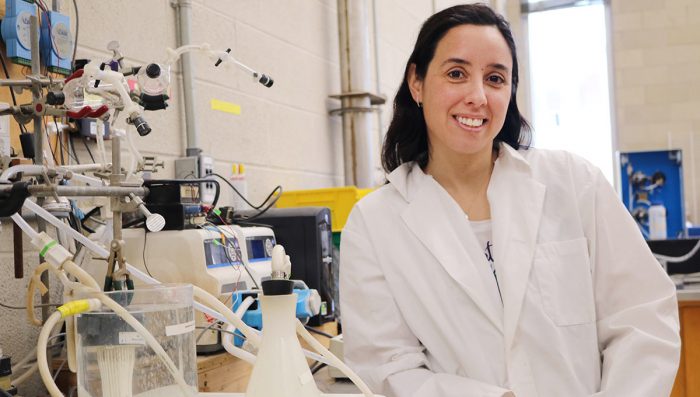 Engineer Basu Sustainable Engineering Solutions for Water and Energy - Carleton News