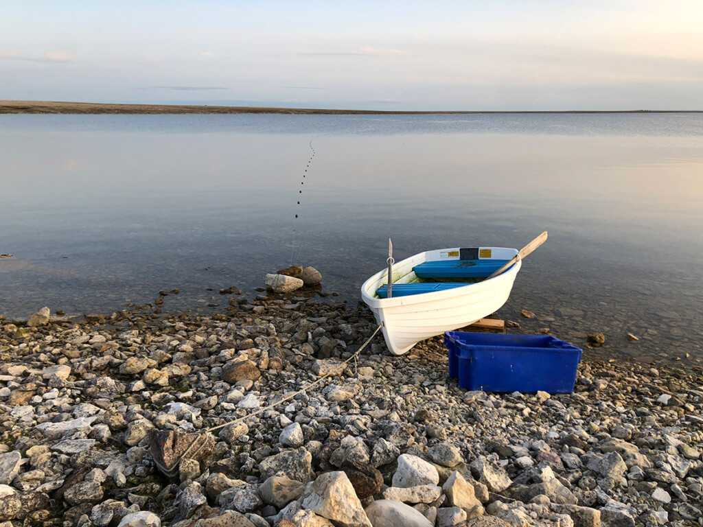 Tracking Fish in North of Canada to Boost Food Security