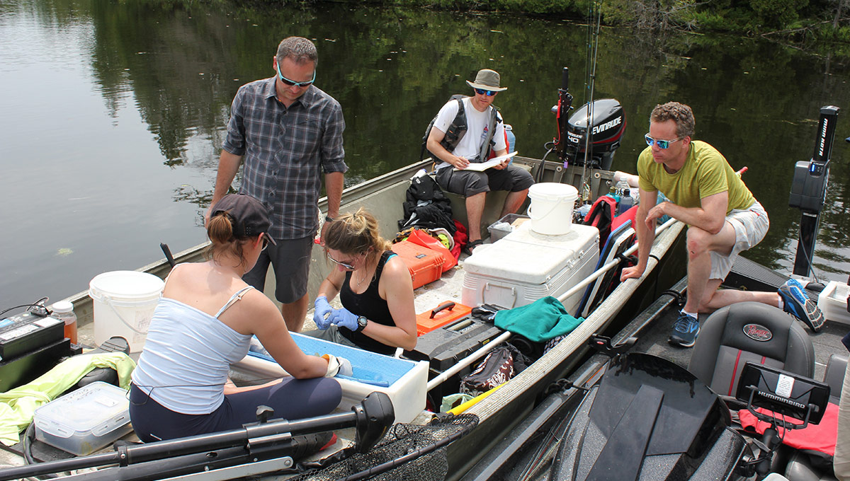 Where The Wild Fish Go