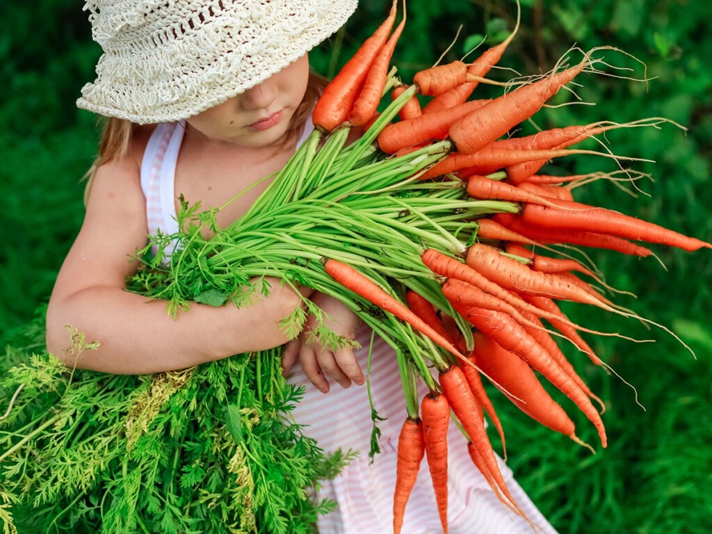 Girl with a bunch of fresh produce, in this case fresh carrots