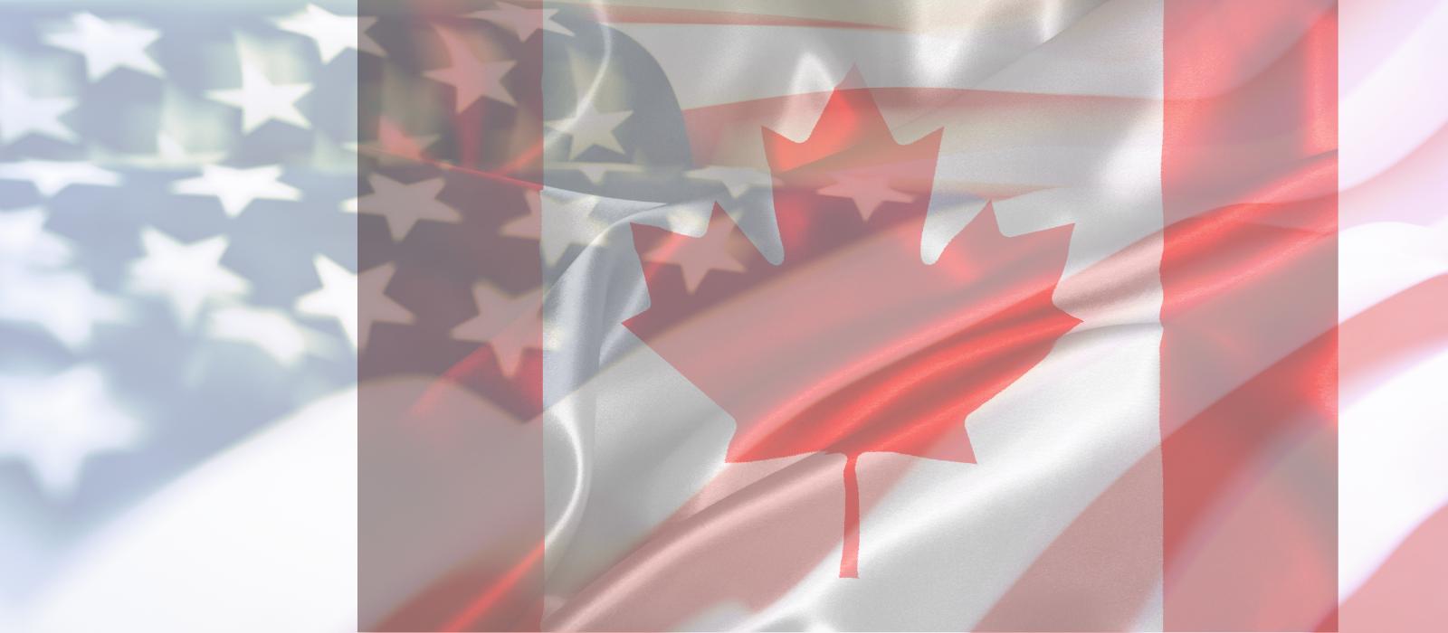Banner image for Expert Group on Canada-US Relations