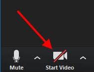 Zoom video icon