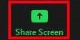 Zoom Share Screen icon