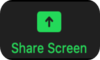 Image of the share screen button