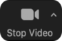image of the stop video button