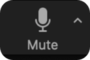 image of the mute button