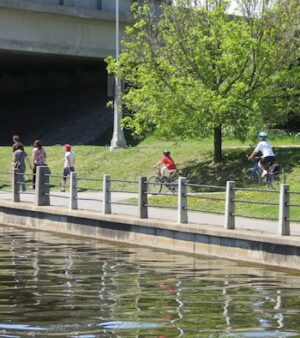 Two cyclists with helmets bike past four people walking along the Ottawa Rideau Canal. They're surrounded by grass and trees.
