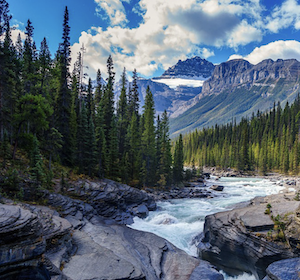 A forest of evergreens rises along two mountain faces as a meandering river cuts through the middle.