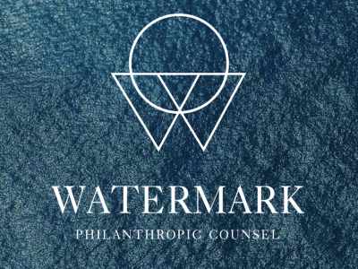 Photo for the news post: New Report from Watermark Philanthropic Counsel