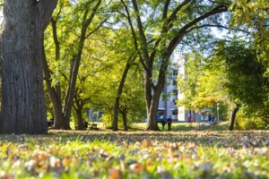 Two students walk in the distance in a treed area during Fall.