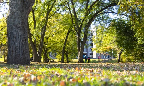 Two students walk in the distance in a treed area during Fall.