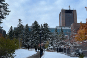 The pathway between Tory Building and Herberg in winter.