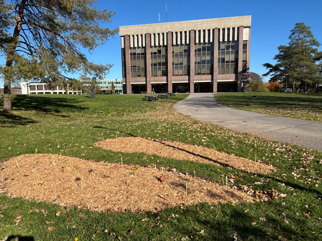 The new Pollinator Garden in Alumni Park