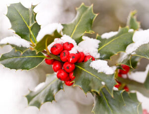 A thumbnail image to accompany the post