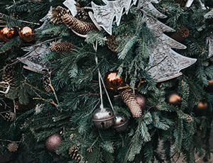 Photo by Alisa Anton on Unsplash