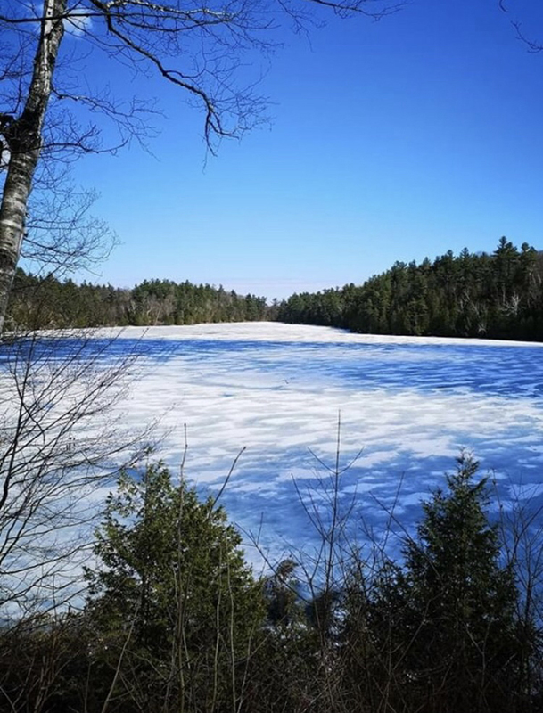 photo of winter scene