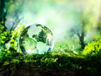 Carleton Ranks 2nd in Canada and 35th in the World for Campus Sustainability