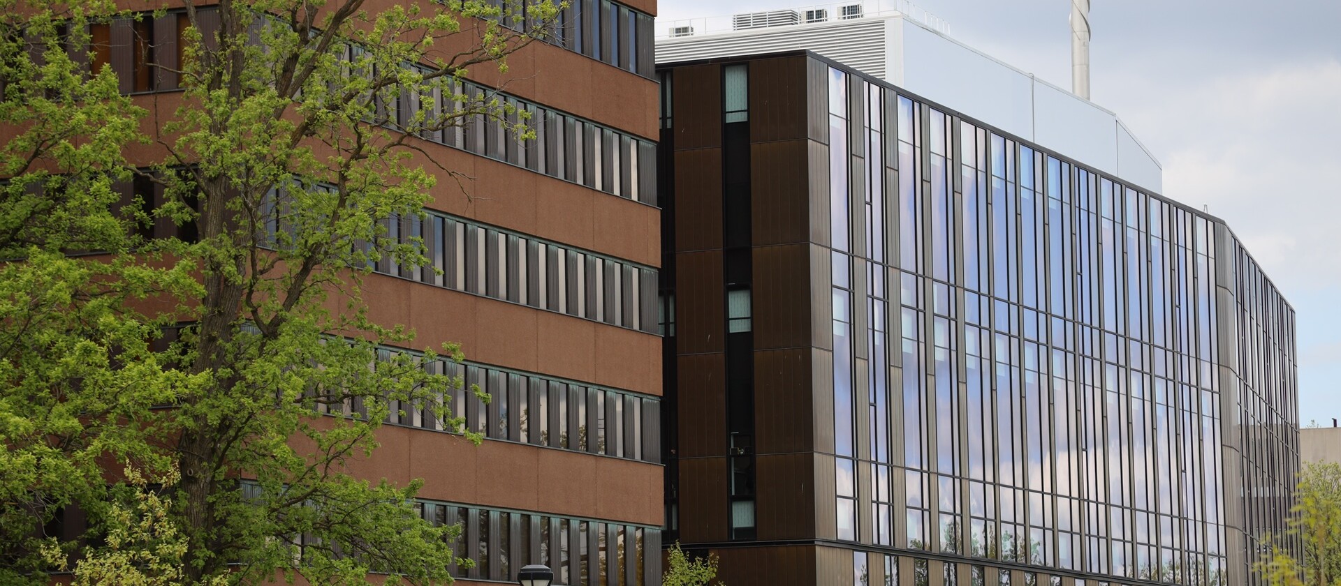 Richcraft Hall on the right and Loeb on the left. 