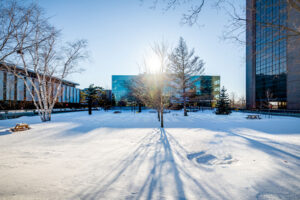 Carleton's courtyard in winter