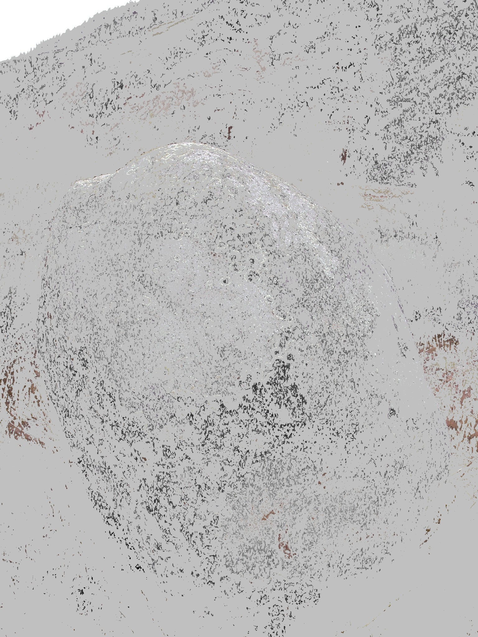 Colour Pixel Plotter - Case Study #2: Observations of Nicola/Hedley ...