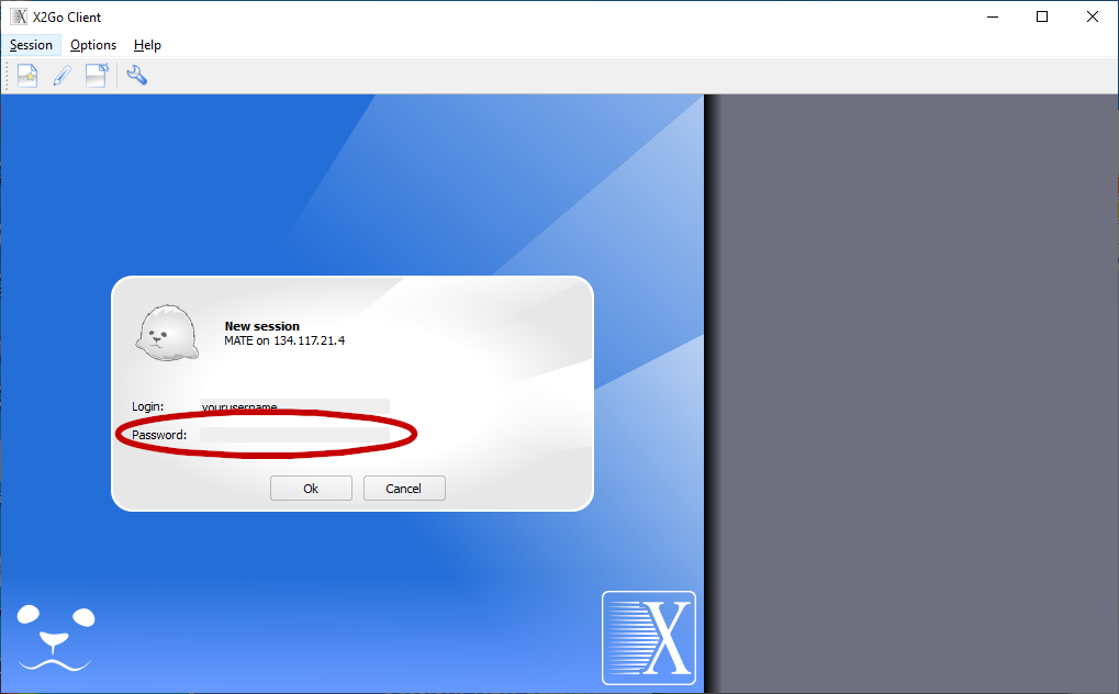 Screenshot of the X2Go Client with the login request.
