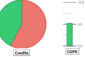 Graphic showing degree completion as per the academic audit.